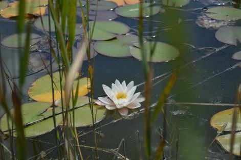 dsc_0145.jpg