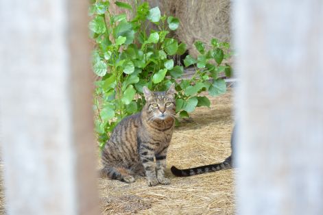 dsc_0172.jpg