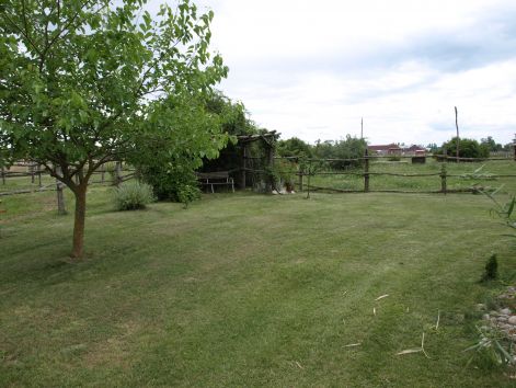 p6241263.jpg