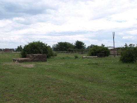p6241266.jpg